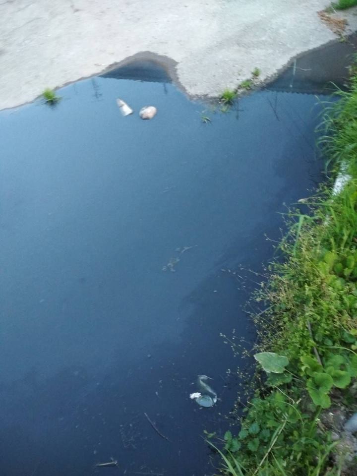 Випаровування від нечистот піднімаються вгору, тож, неможливо відкчинити вікна, мухи лізуть в будь-яку шпарину, а в нечи