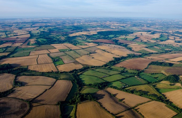 Ілюстрація. 6 ОТГ Прикарпаття отримали повноваження на право розпорядження землями сільськогосподарського призначення за