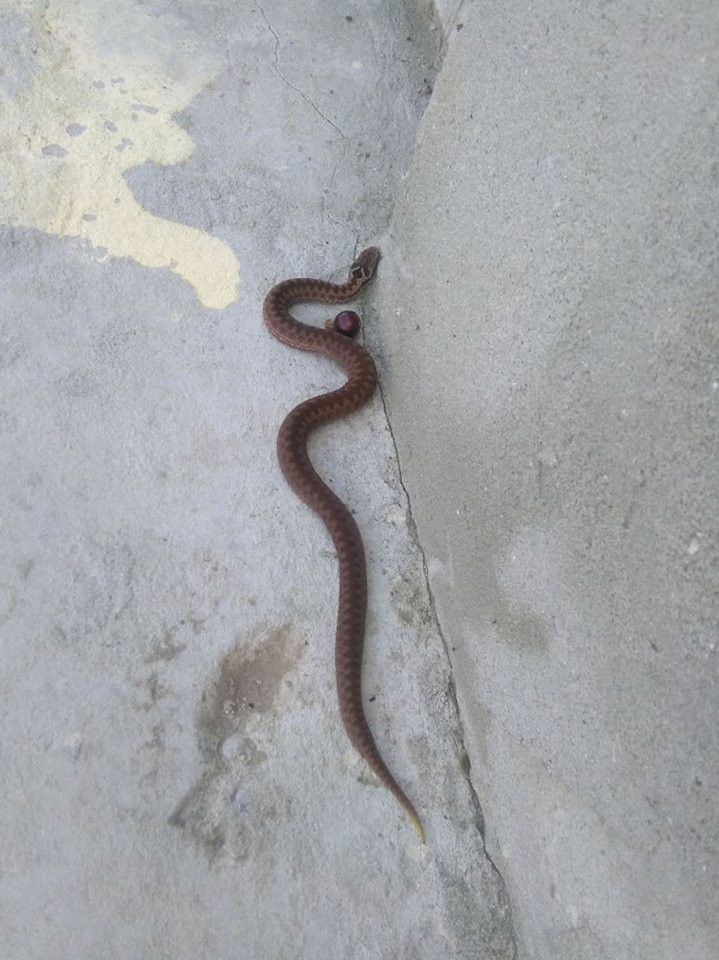 Дописувачка хвилюється за безпеку дітей