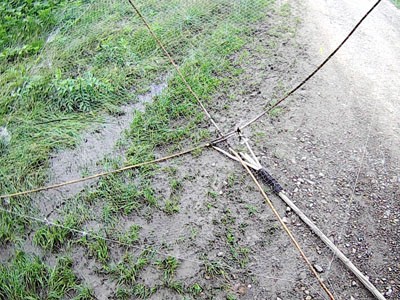 На Пруті спіймали браконьєра з крошнею