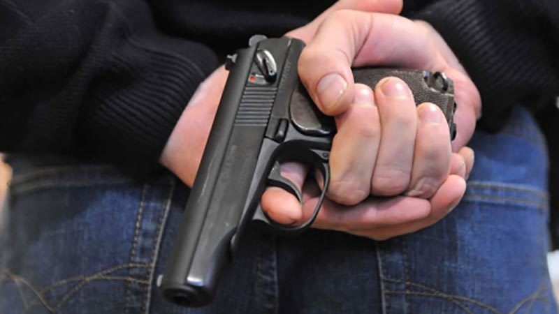 Ілюстрація. Пістолет затриманий викинув у траву на вул. Каракая