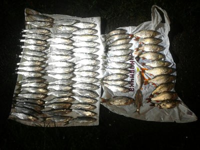 На Бурштинському водосховищі спіймали браконьєрів, які сіткою ловили рибу
