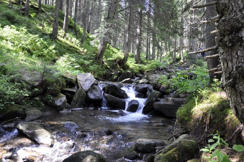 Ілюстрація. Показники води з трьох джерел за показниками епідемічної безпеки не відповідають вимогам
