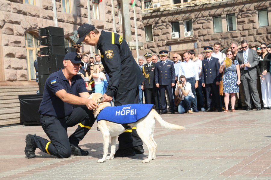 Службою порятунку була започаткована нова зворушлива традиція &mdash; урочисто відзначати службових собак за вагомий вне