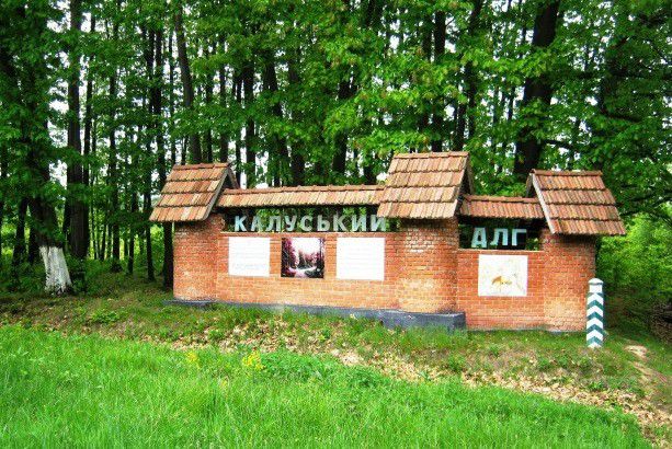 У Калуші платником цього податку буде єдиний землекористувач лісових земель &mdash; Калуський держлісгосп