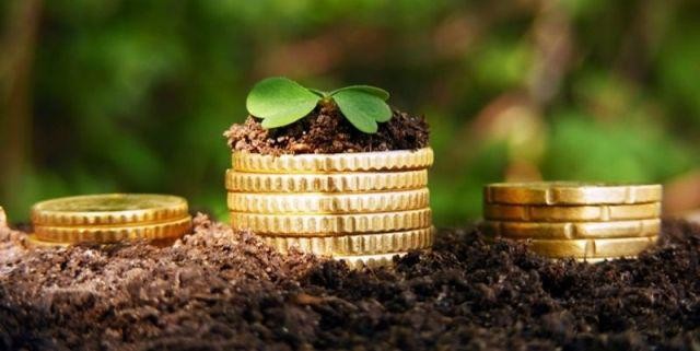 Ілюстрація.Платниками земельного податку є власники земельних ділянок та землекористувачі, а об&rsquo;єктами оподаткуван