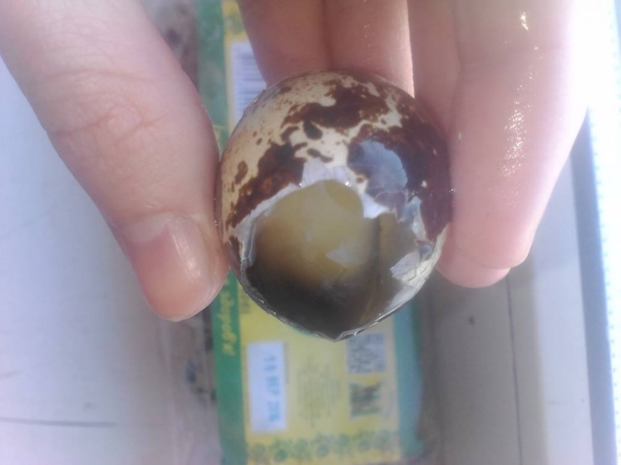 Жінка закликає бути уважними і не викидати чек.