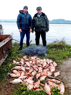 Під час тралення кішкою з води витягли 160-метрову сітку з рибою