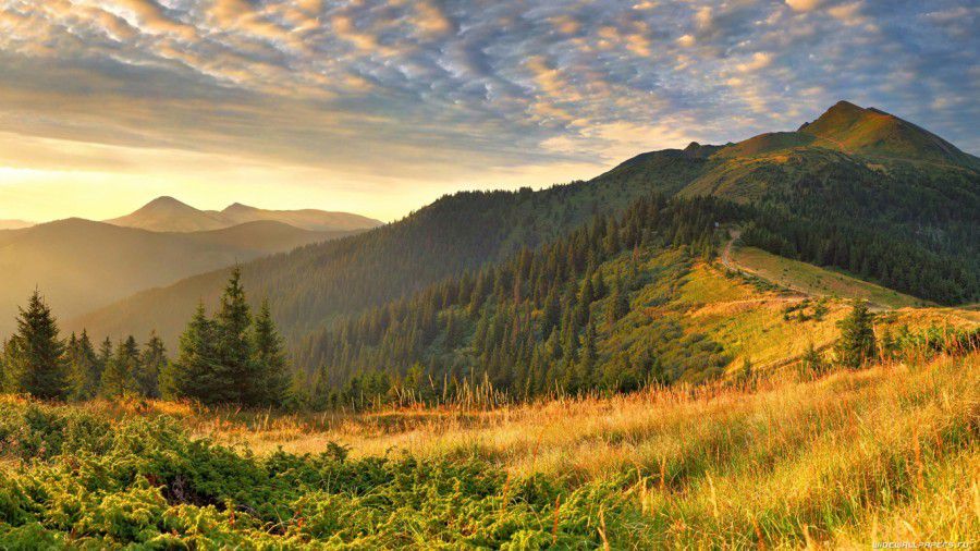 Ілюстрація.В районі гори Говерла Яремчанської міської ради заблукали дві туристки