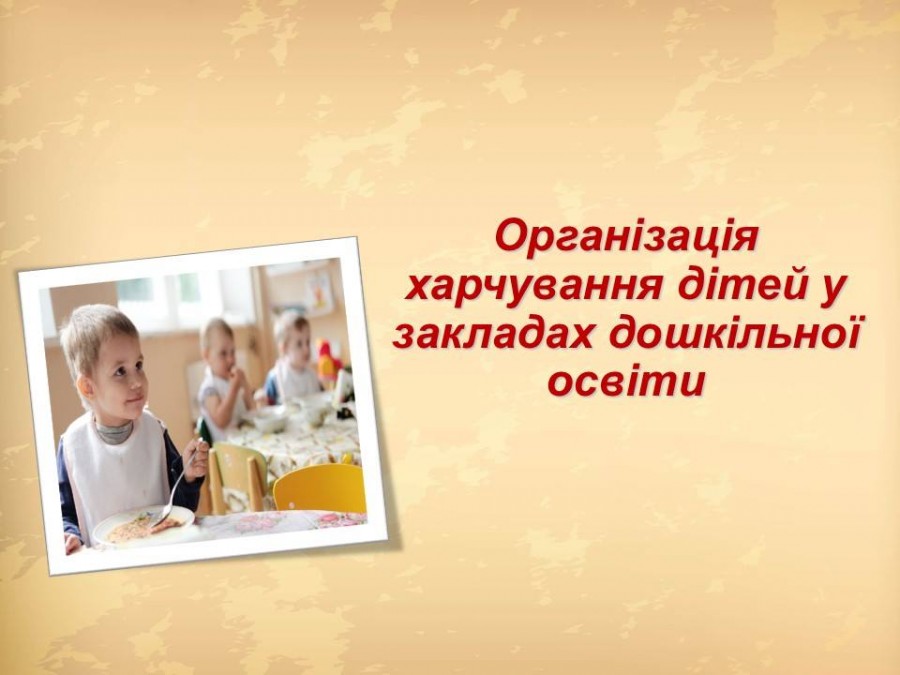 Ілюстрація. Міський голова Івано-Франківська  розповів про фінансування харчування діток у садках та школах