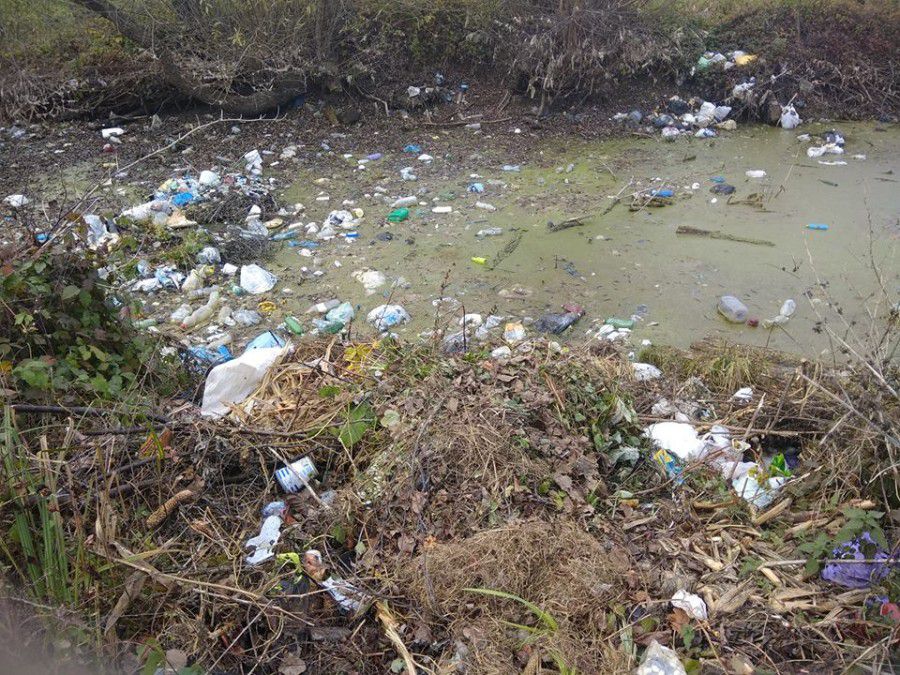 У Студінці влаштували суцільне сміттєзвалище на ставку