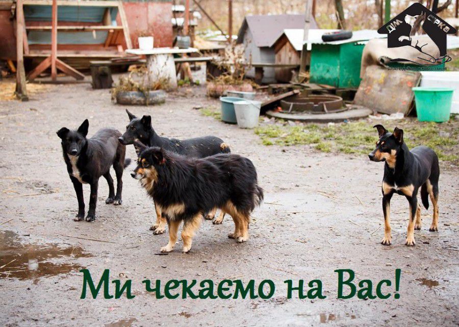  "Дім Сірка" просить приєднатися до акції "Добро"