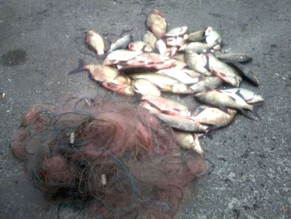 Інспектори затримали місцевого мешканця з 50-метровою сіткою