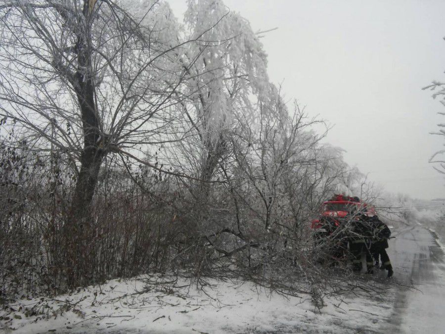 Рятувальники розрізали повалене дерево, яке впало на проїжджу частину дороги