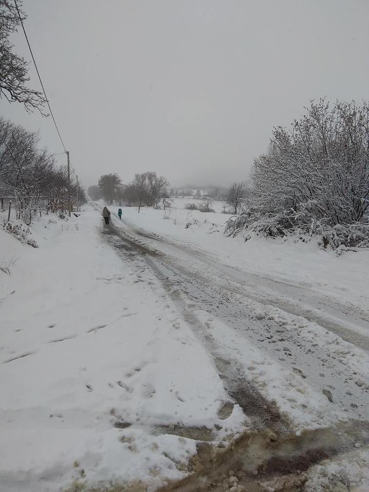 Місцева мешканка Зеленого Яру висловила своє обурення з приводу стану доріг
