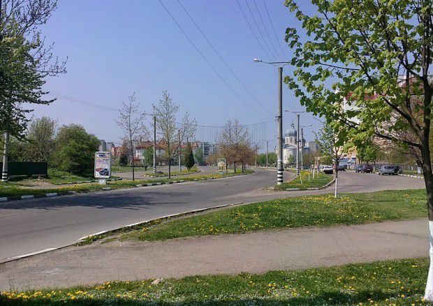 За потреби, якщо дійде до будівництва, то приватні земельні ділянки можуть викупити для суспільних потреб