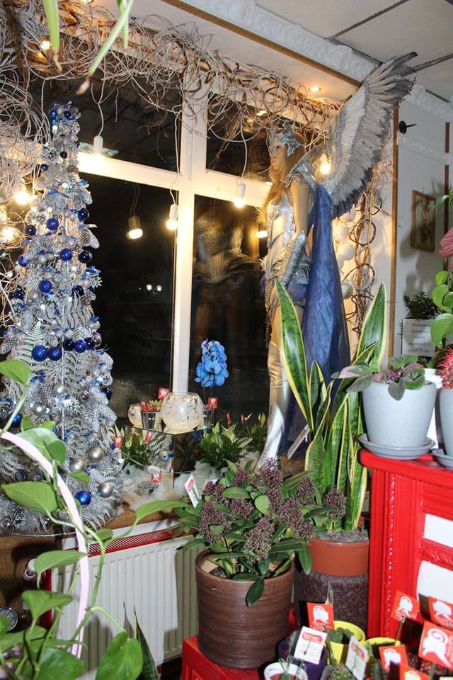 У крамниці на площі Героїв створили справжню новорічну казку