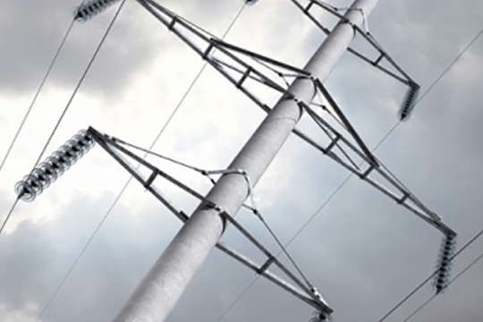 Ілюстрація. На вулиці Довженка впало дерево на госпоадрську будівлю, а при падінні дерево обірвало електромережі і перек