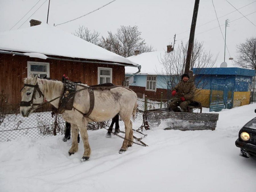 У Рожнятові з кіньми та на фірі розчищають дорогу від снігу