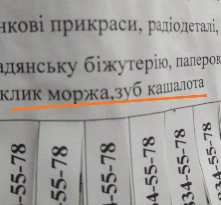 Таке незвичне оголошення розмістили на автобусній зупинці в Калуші