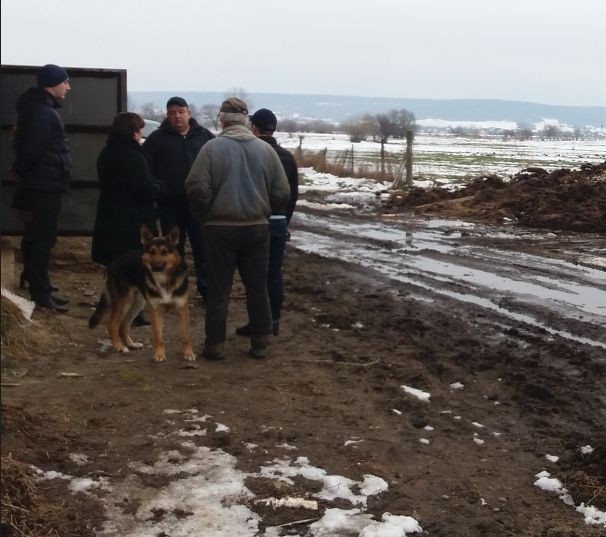 Жителька вулиці Пилипа Орлика поскаржилася на гноївку з фермерського господарства