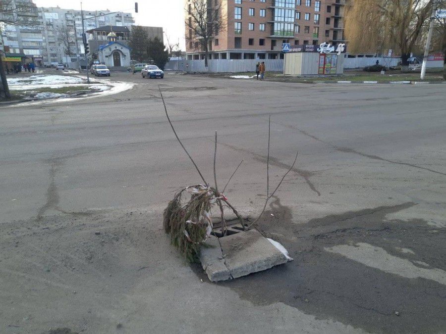 Сигнальні гілки встановлено на перехресті проспекту Лесі Українки та бульвару Незалежності.