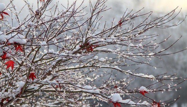 Ілюстрація.  12 березня, в області також очікують сильний вітер до 20 м/с