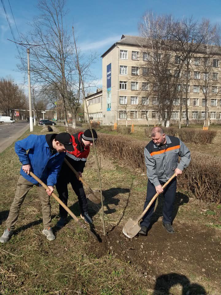 Висадити алею червоних дубів допомогла молода українська діаспора з Лондона