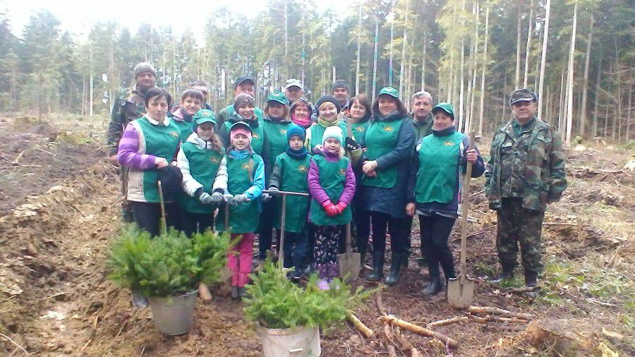 Лісівники та їхні діти створили в урочищі &laquo;Довгий Войнилів&raquo; лісові культури на площі 1 гектар