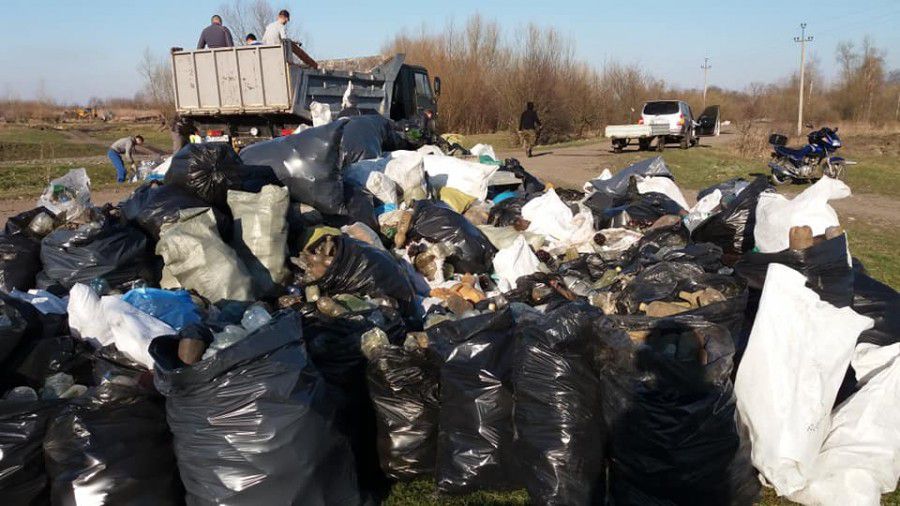 Учасники толоки зібрали вантажівку скла і пластику | Фото: Тетяна Клебан