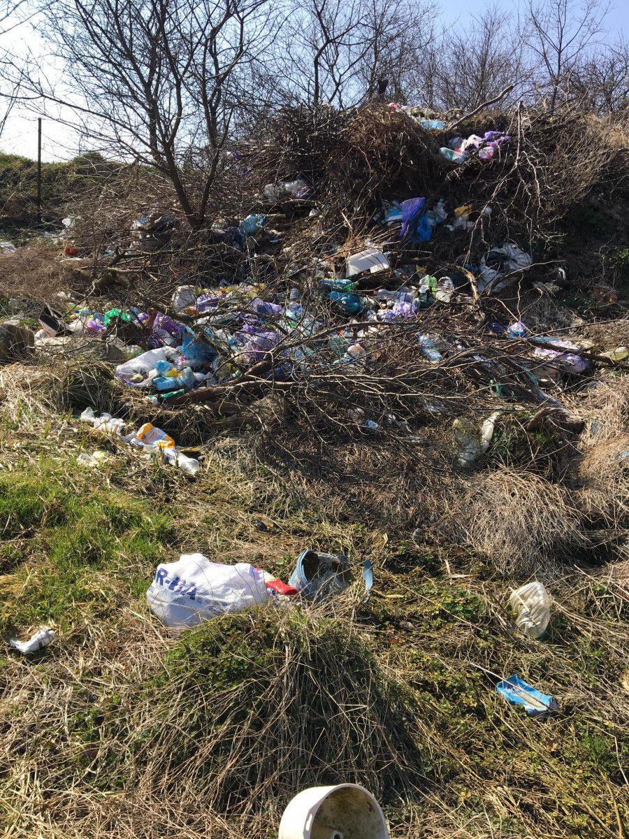 Влада пообіцяла встановили попереджувальні таблички про заборону викидати сміття на даній території.