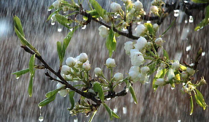 Ілюстрація. 27 і 28 квітня на Прикарпатті &mdash; місцями значний дощ, грози