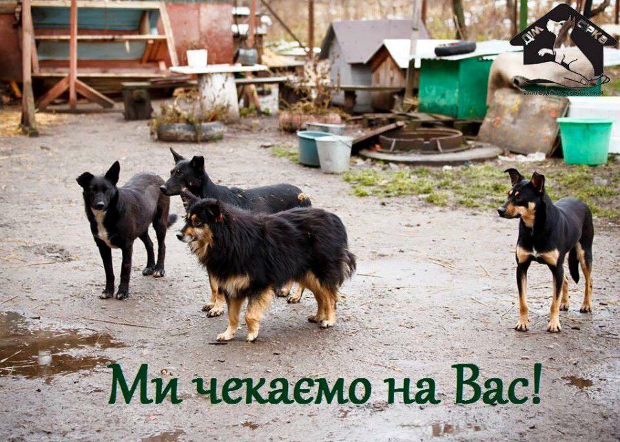 Благодійний ярмарок відбудеться завтра, 11 травня