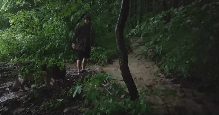 Уся вода з лісових потічків обрушилася на мешканців села Вістова