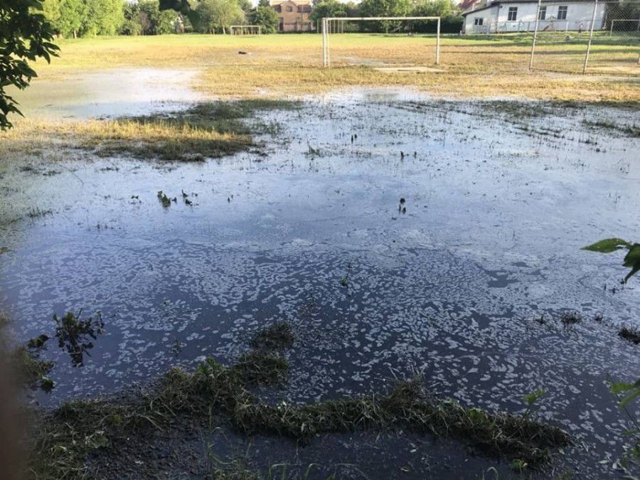 Різкий запах, жаби та качки, стадін на Загір&rsquo;ї перетворився на озеро
