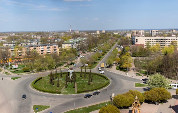 Ілюстрація. Основні витрати за проєктом &mdash; виготовлення і встановлення п&rsquo;яти металевих каркасів під топіарій 