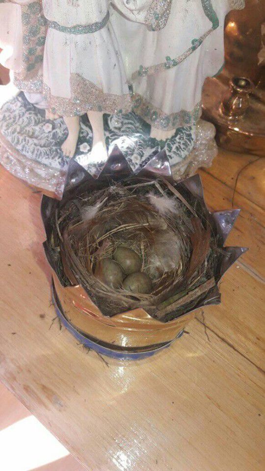 Пташка знайшла захист в короні Матері Божої, адже там для неї безпечне місце