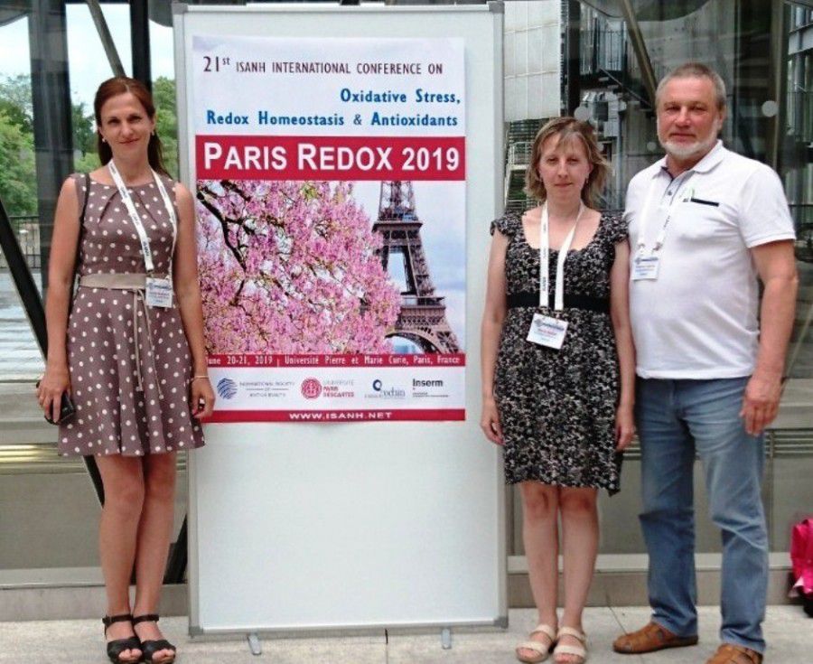 Програма конференції була насиченою і включала в себе пленарні лекції, короткі усні доповіді та постерні сесії. 