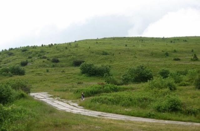 Ілюстрація. Туристи, які отруїлися на полонині, перебувають у лікарні.