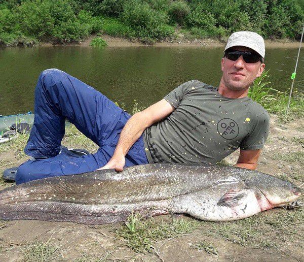 Ігор Олексин впіймав сома завважки 21 кг 200 г, довжиною 1 м 42 см