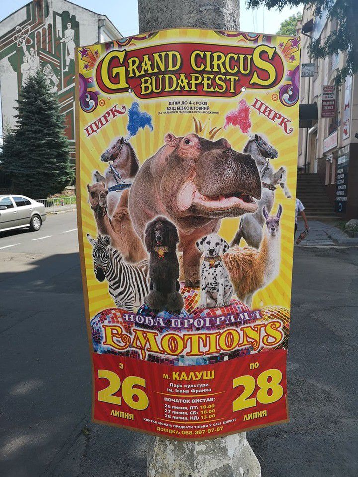 У Калуші анонсують циркові вистави в міському парку.