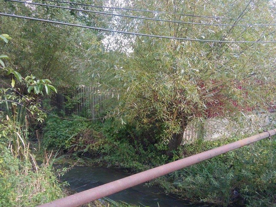 На продовження робіт з розчищення річки Млинівка виділять 199 тисяч гривень.