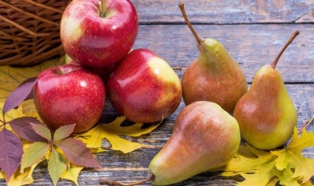 Ілюстрація. Імпортери фруктів у країнах ЄС відмовляються купувати яблука і груші з України.