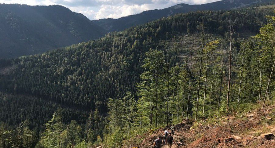 У горах віднайшли повстанську криївку часів другої половини 40-х років, яка розташована на глибині двох метрів.