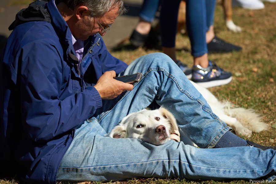 Франківці показали своїх улюбленців і позмагалися за звання найкращих