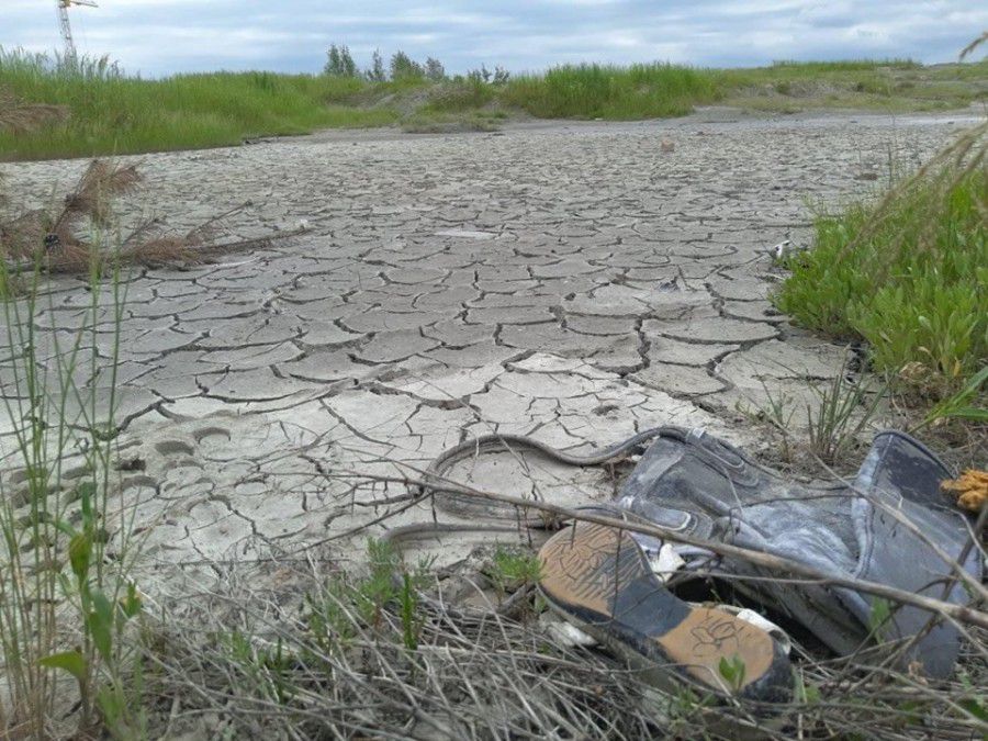 &laquo;Епіцентр&raquo; планують збудувати на &laquo;солянці&raquo; в першому півріччі наступного року | Фото: Калуш Урба