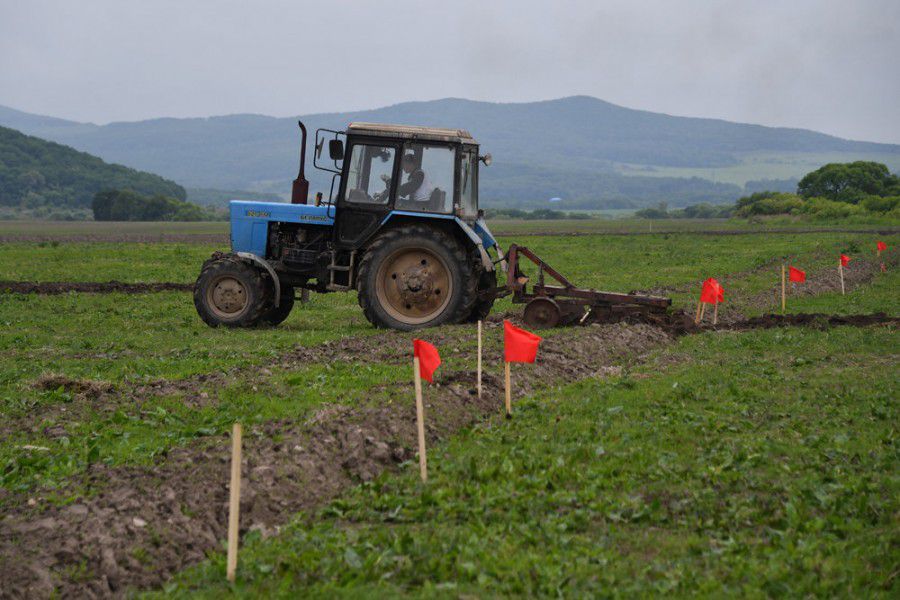 Ілюстрація. Позов учасників АТО задоволено частково