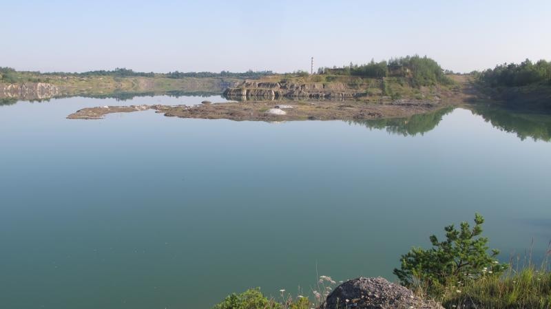 Суть позову "Оріана-Еко" &mdash; в описі наявних екологічних проблем і загроз