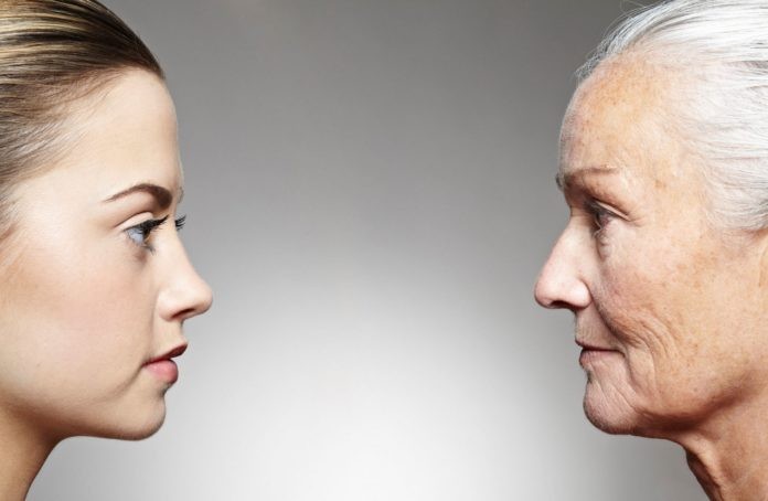 Ілюстрація. Проєкт складається з чотирьох навчальних програм для людей віком 45+ та 65+.