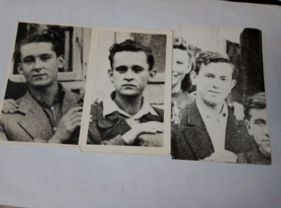 Іларій, Мирон та Олександр Лукашевичі